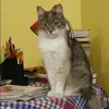 Отзыв от Елизавета Михеева